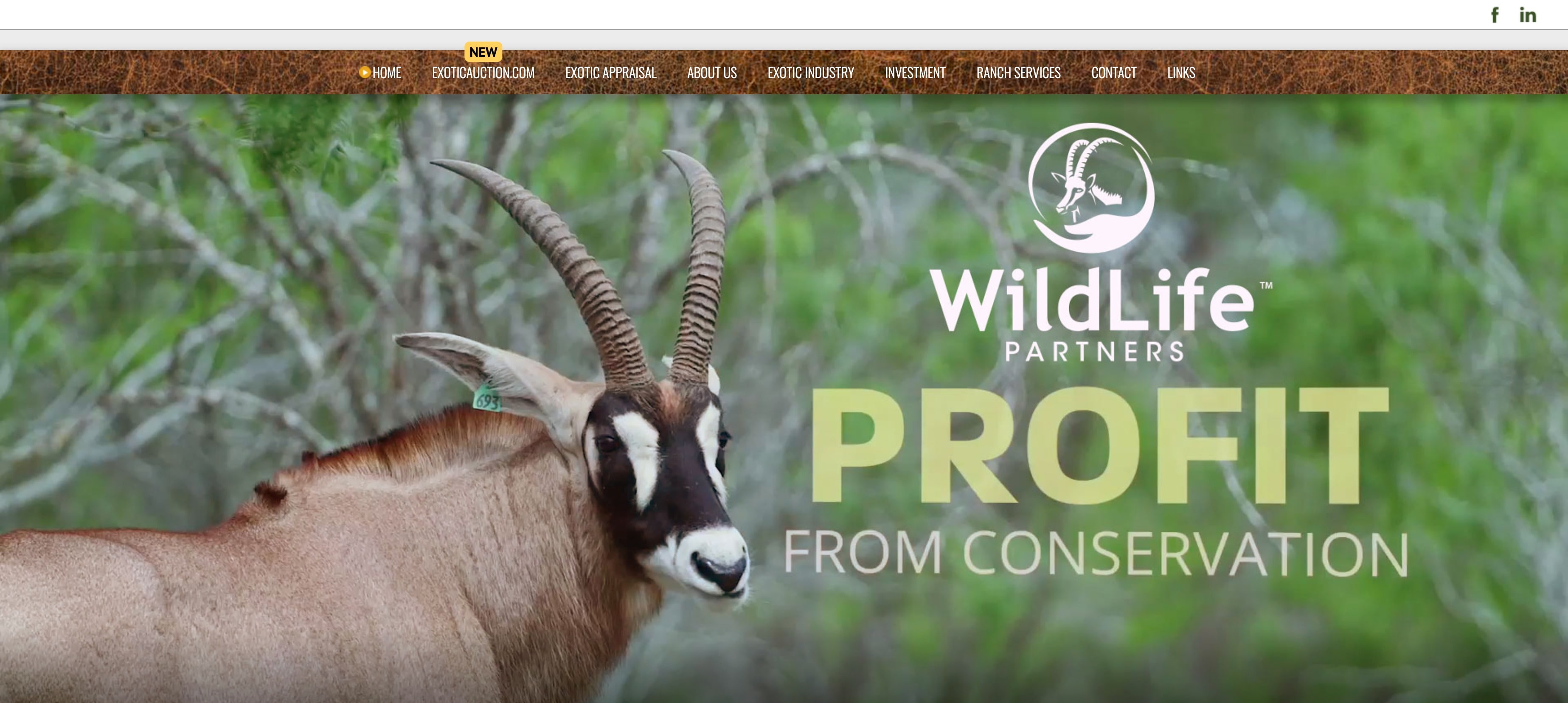 Startup_San Antonio_Wildlife Partners